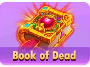 Book Of Dead thumbnail